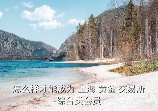 怎么樣才能成為 上海 黃金 交易所綜合類會員