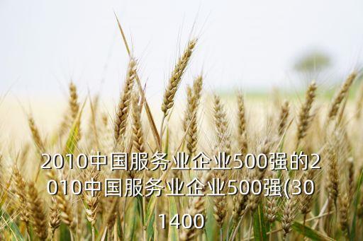 2010中國服務(wù)業(yè)企業(yè)500強的2010中國服務(wù)業(yè)企業(yè)500強(301400