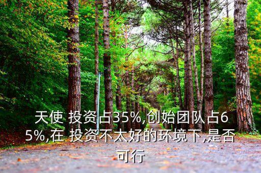  天使 投資占35%,創(chuàng)始團(tuán)隊(duì)占65%,在 投資不太好的環(huán)境下,是否可行