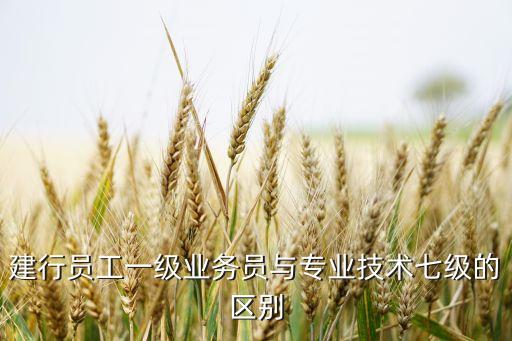 建行員工一級業(yè)務(wù)員與專業(yè)技術(shù)七級的區(qū)別