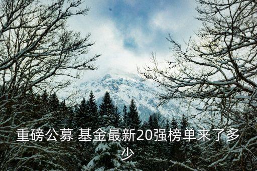 重磅公募 基金最新20強(qiáng)榜單來了多少