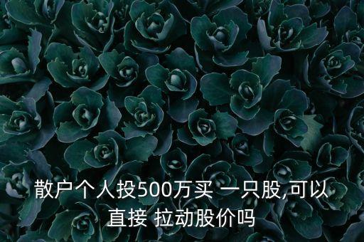 散戶個人投500萬買 一只股,可以直接 拉動股價嗎