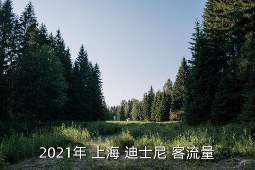 2021年 上海 迪士尼 客流量