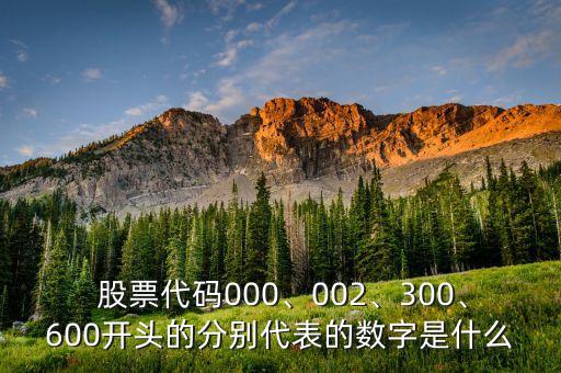  股票代碼000、002、300、600開頭的分別代表的數(shù)字是什么