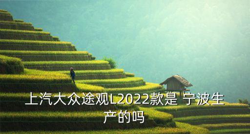 上汽大眾途觀L2022款是 寧波生產(chǎn)的嗎