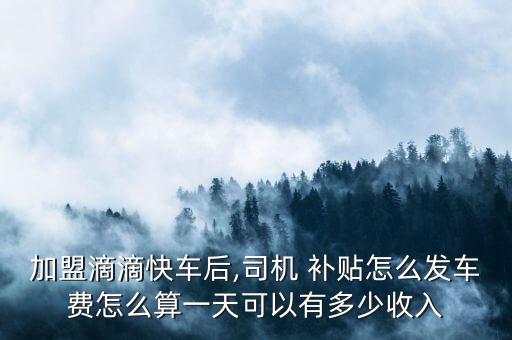 北京滴滴車怎樣補(bǔ)貼的,北京無車跑滴滴收入怎樣