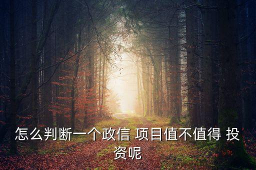 怎么判斷一個政信 項目值不值得 投資呢