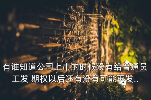 有誰知道公司上市的時(shí)候沒有給普通員工發(fā) 期權(quán)以后還有沒有可能再發(fā)...