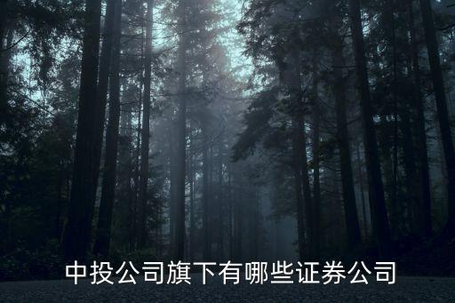  中投公司旗下有哪些證券公司