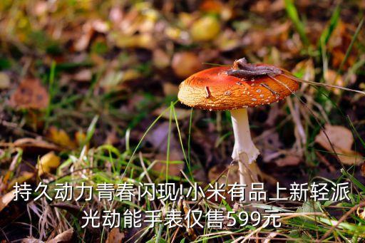 伯恩露笑藍寶石有限公司,內(nèi)蒙古露笑藍寶石有限公司