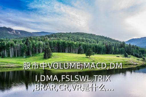 股市中VOLUME,MACD,DMI,DMA,FSLSWL,TRIX,BRAR,CR,VR是什么...