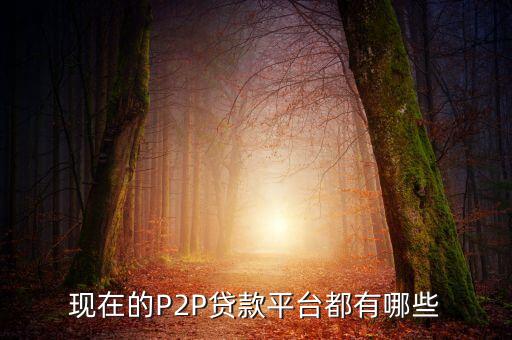 現(xiàn)在的P2P貸款平臺(tái)都有哪些