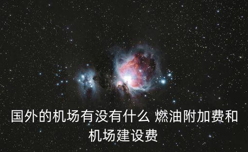 國外的機場有沒有什么 燃油附加費和機場建設費