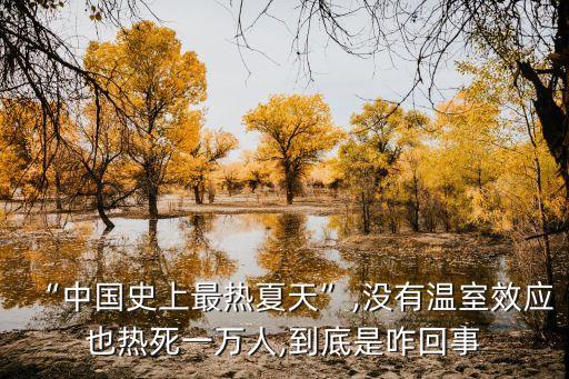 “中國(guó)史上最熱夏天”,沒有溫室效應(yīng)也熱死一萬(wàn)人,到底是咋回事