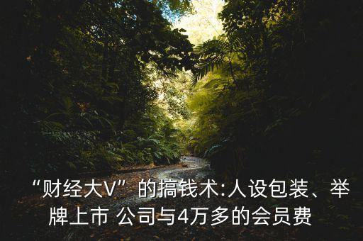 “財經(jīng)大V”的搞錢術(shù):人設(shè)包裝、舉牌上市 公司與4萬多的會員費