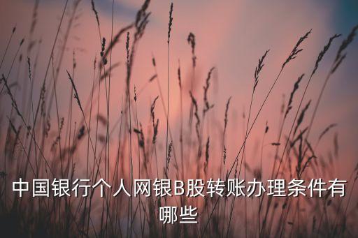 中國銀行個人網(wǎng)銀B股轉(zhuǎn)賬辦理條件有哪些