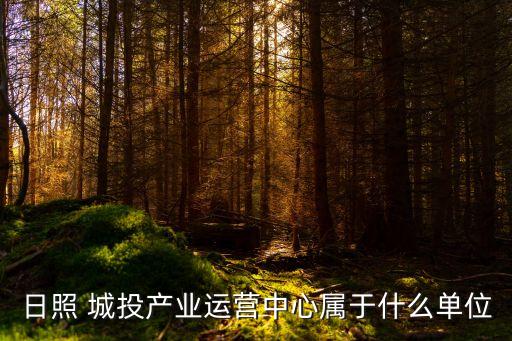 日照 城投產(chǎn)業(yè)運(yùn)營中心屬于什么單位