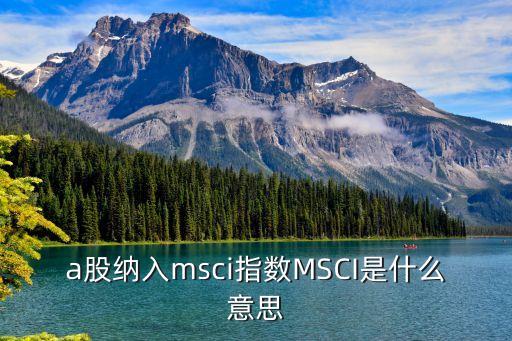 a股納入msci指數(shù)MSCI是什么意思