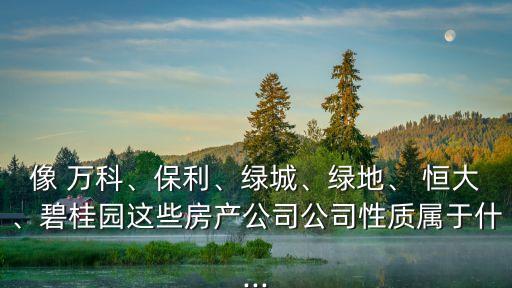 像 萬(wàn)科、保利、綠城、綠地、 恒大、碧桂園這些房產(chǎn)公司公司性質(zhì)屬于什...