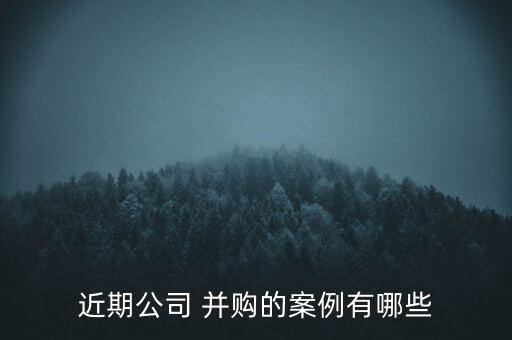 近期公司 并購的案例有哪些