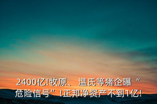 2400億!牧原、 溫氏等豬企曝“危險(xiǎn)信號(hào)”!正邦凈資產(chǎn)不到1億!