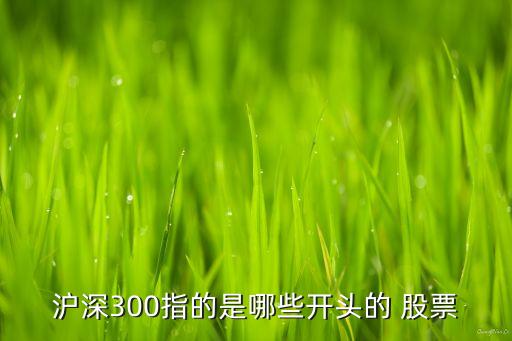 滬深300指的是哪些開頭的 股票