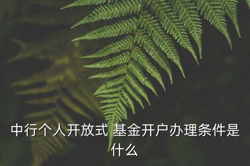 中行個(gè)人開(kāi)放式 基金開(kāi)戶(hù)辦理?xiàng)l件是什么