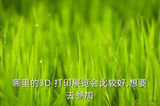 哪里的3D 打印展覽會(huì)比較好,想要去參加