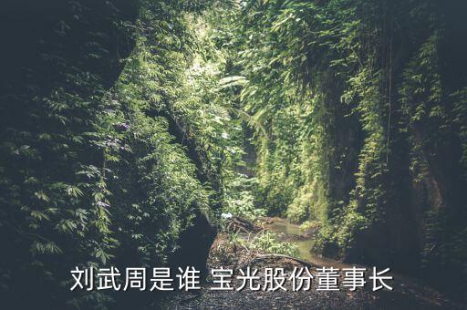 劉武周是誰(shuí) 寶光股份董事長(zhǎng)