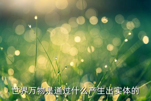 世界萬(wàn)物是通過(guò)什么產(chǎn)生出實(shí)體的