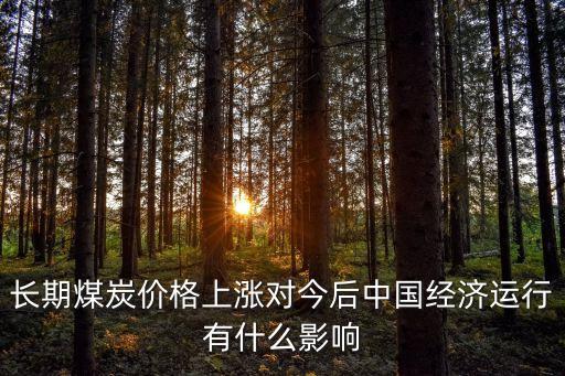 長期煤炭價格上漲對今后中國經(jīng)濟運行有什么影響