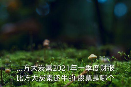 ...方大炭素2021年一季度財報比方大炭素還牛的 股票是哪個