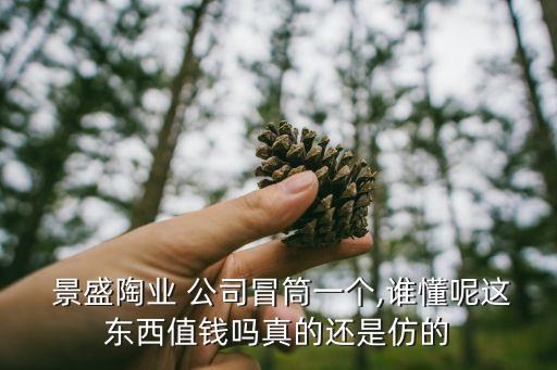  景盛陶業(yè) 公司冒筒一個(gè),誰懂呢這東西值錢嗎真的還是仿的