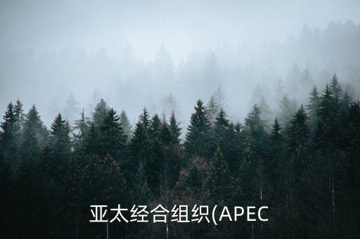 亞太經(jīng)合組織(APEC