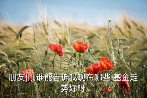 興合混合基金,廣發(fā)興誠(chéng)混合a基金