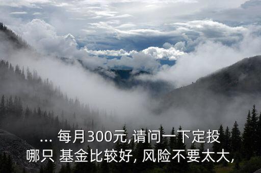 ... 每月300元,請問一下定投哪只 基金比較好, 風(fēng)險不要太大,