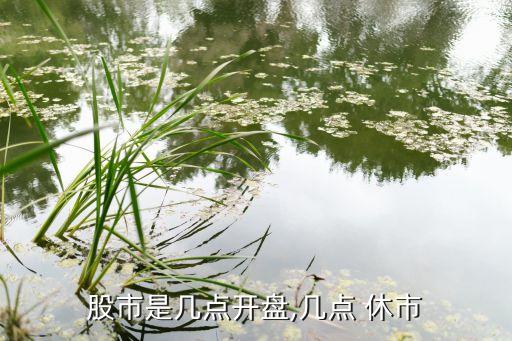 股市是幾點(diǎn)開盤,幾點(diǎn) 休市