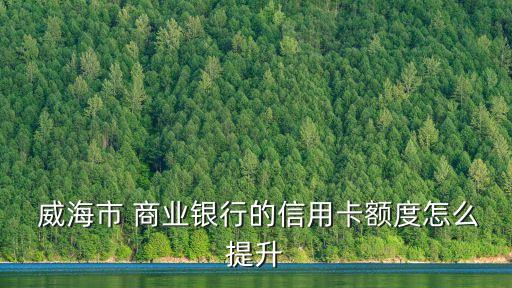  威海市 商業(yè)銀行的信用卡額度怎么提升