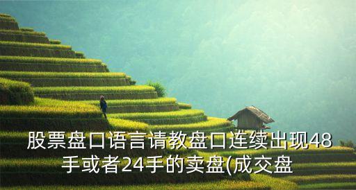  股票盤口語言請(qǐng)教盤口連續(xù)出現(xiàn)48手或者24手的賣盤(成交盤