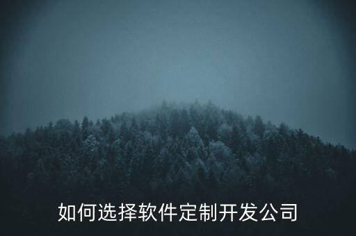 如何選擇軟件定制開發(fā)公司