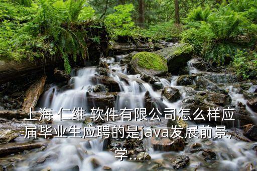  上海 仁維 軟件有限公司怎么樣應(yīng)屆畢業(yè)生應(yīng)聘的是java發(fā)展前景,學...