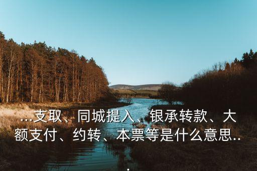 ...支取、同城提入、銀承轉(zhuǎn)款、大額支付、約轉(zhuǎn)、本票等是什么意思...