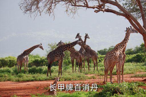 長甲集團怎么樣,長貝集團上班怎么樣