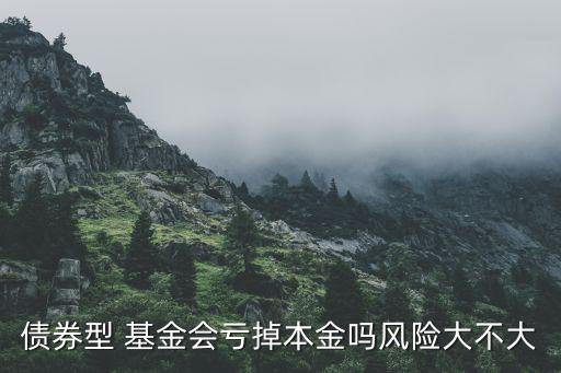 債券型 基金會虧掉本金嗎風(fēng)險(xiǎn)大不大