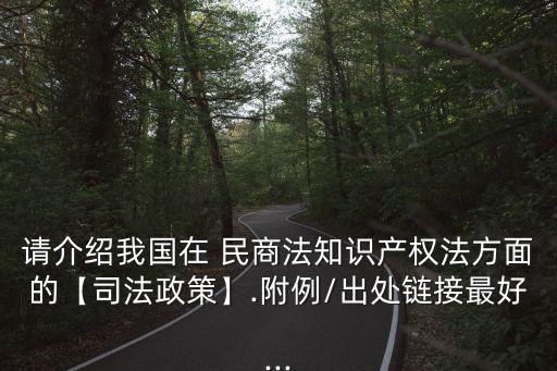 請介紹我國在 民商法知識產權法方面的【司法政策】.附例/出處鏈接最好...