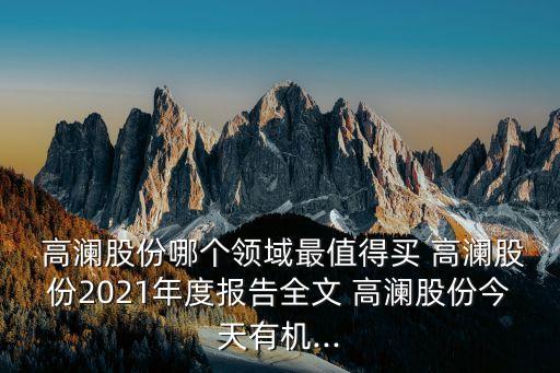  高瀾股份哪個領(lǐng)域最值得買 高瀾股份2021年度報告全文 高瀾股份今天有機(jī)...