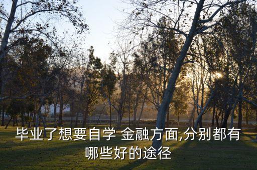 畢業(yè)了想要自學(xué) 金融方面,分別都有哪些好的途徑