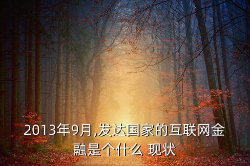 2013年9月,發(fā)達國家的互聯(lián)網金融是個什么 現(xiàn)狀