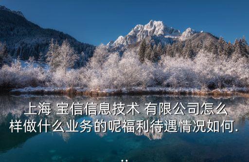  上海 寶信信息技術 有限公司怎么樣做什么業(yè)務的呢福利待遇情況如何...