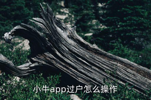 小牛app過戶怎么操作